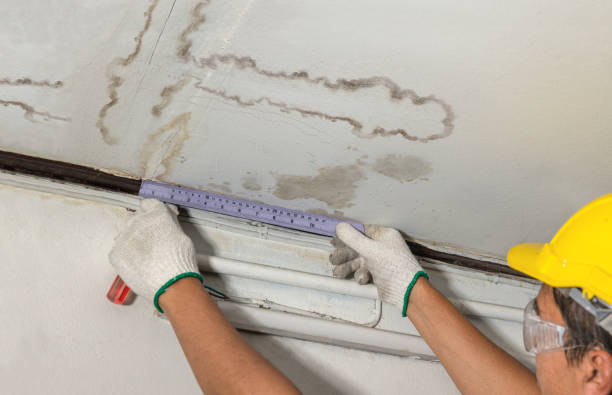 Reliable Mold Remediation contractor in Pickett, WI by Water Damage Irwin